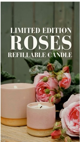Ad 813 Roses beauty video